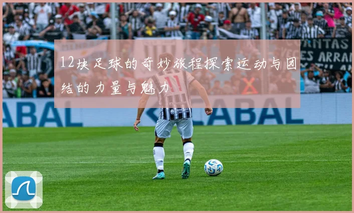 12块足球的奇妙旅程探索运动与团结的力量与魅力