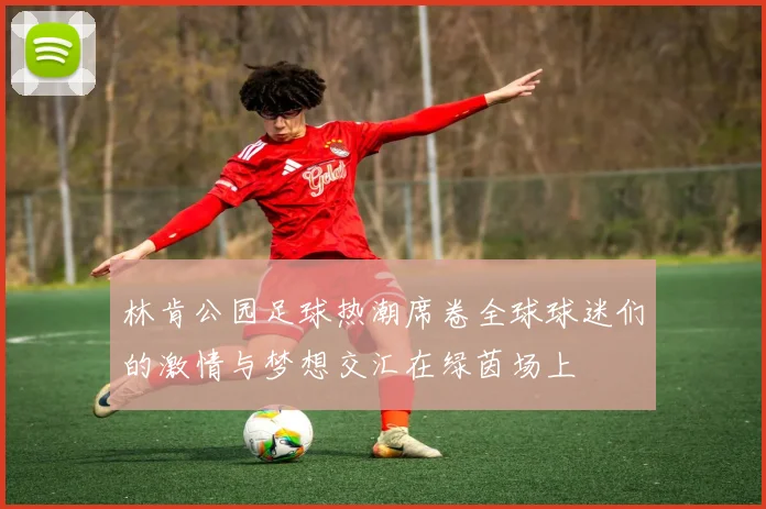 林肯公园足球热潮席卷全球球迷们的激情与梦想交汇在绿茵场上