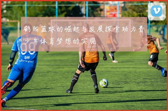 鹤陇篮球的崛起与发展探索助力青少年体育梦想的实现